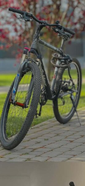 Vand bicicleta Bergamont
